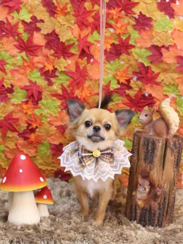 20241109れおくん